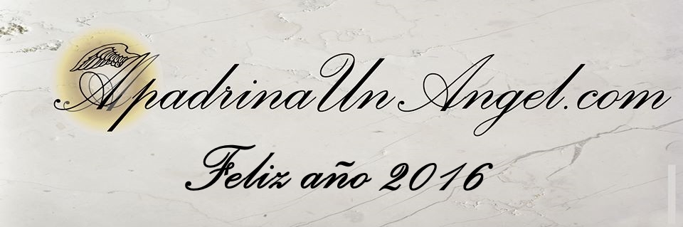 Feliz 2016, Síndrome de Angelman, Apadrina un Ángel