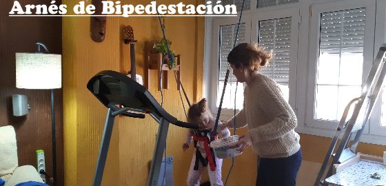 Arnés de Bipedestación, Apadrina un Ángel, Síndrome de Angelman