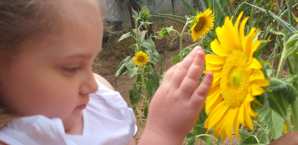 Volvemos, Apadrina un Ángel, Síndrome de Angelman